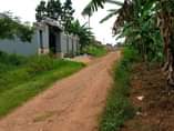 A picture of Busukuma gayaza rd plot on quick sale