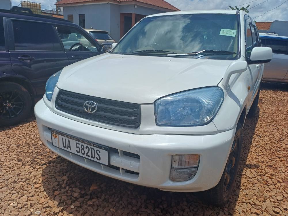 A picture of RAV4