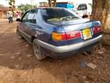 A picture of Premio 6 5m nbwr 0705378411