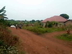 A picture of Land
