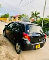 A picture of Vitz