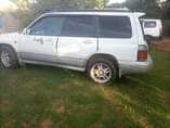 A picture of Forester