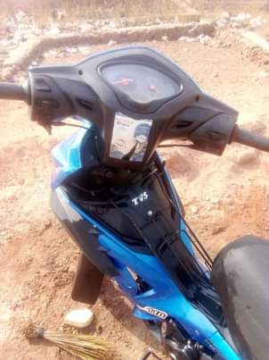 A picture of Tvs ruber ruber
