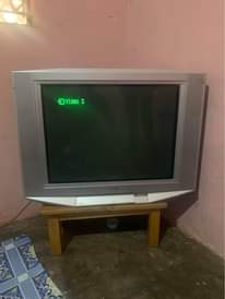 A picture of Alex2561