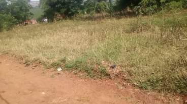A picture of For sale 4acres in Bweyogerere Bukasa Uganda