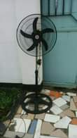 A picture of NAUZ PASI NA FENI 0789477231