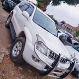 A picture of Landcruiser Prado 85m