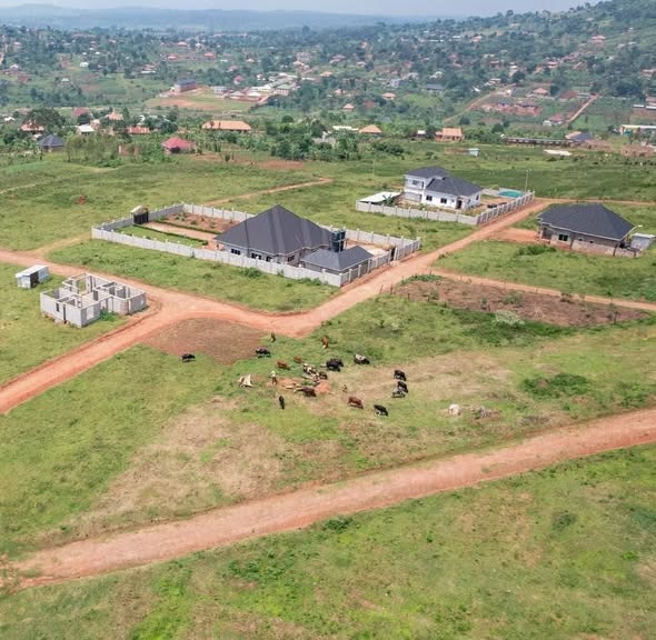 A picture of plots for sale