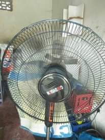 A picture of FENI