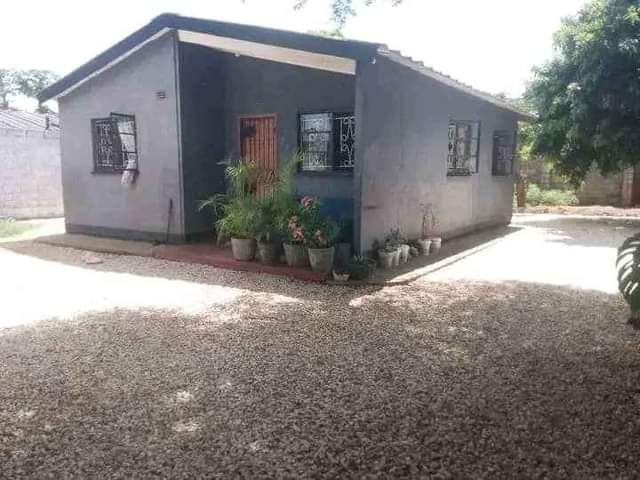 chilenje