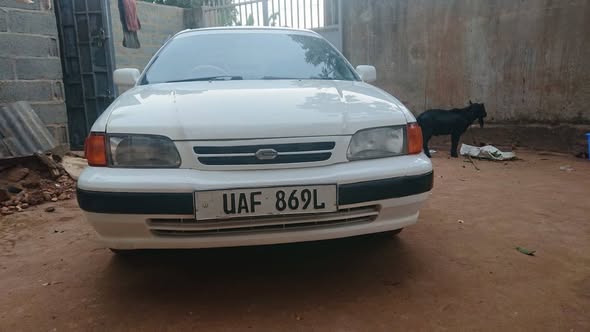 A picture of Toyota corsa