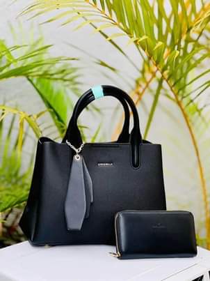 A picture of Hand Bags Black Purple Red