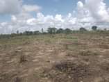 A picture of VINAUZWA LAKI 500 000 TU
