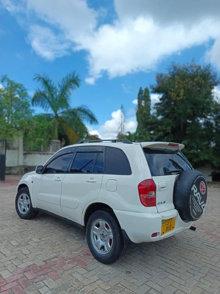 A picture of 2002 Toyota rav4