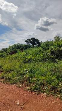 A picture of land for sale in wakiso 26 decimals
