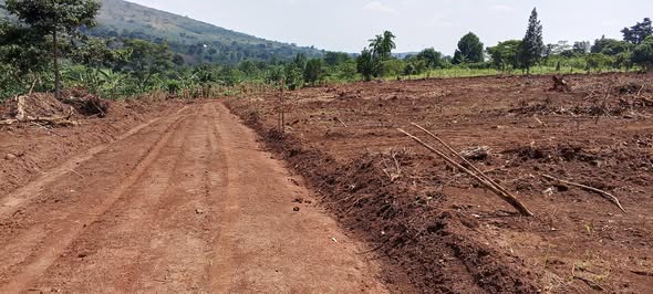 A picture of PLOTS
