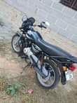 A picture of Boxer Tvs Haojue