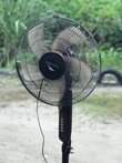 A picture of Dstv bado kipya 50000 Feni dolphin bado mpya 50000 Location