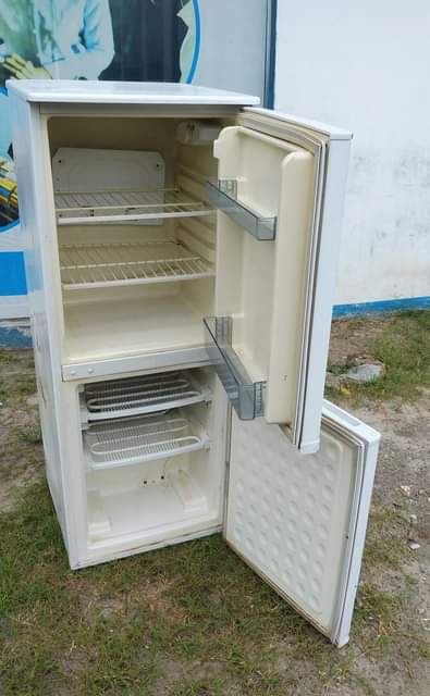 A picture of 255000 linagandisha 0655194001