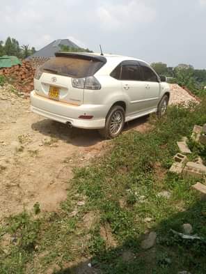 A picture of 23m 0705835212