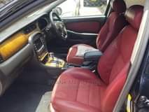 A picture of jaguar