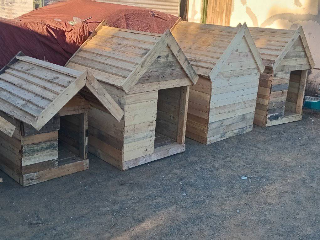 houses for sale