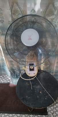 A picture of Feni ya ukutani