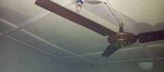 A picture of 60 inches Original ORL Ceiling fan