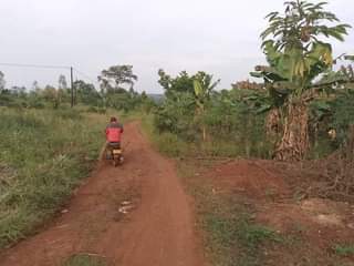 A picture of FOR SALE IN NAKASEKE KAPEEKA KADUNDA VILLAGE