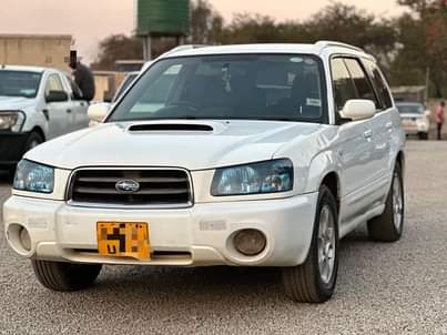 subaru forester