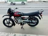 A picture of BOXER GIA 5 TANO IPO TANDIKA