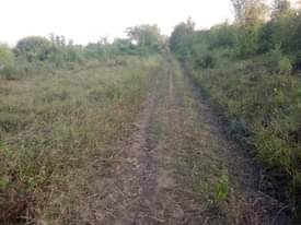 A picture of Shamba la eka 20 linauzwa shamba hili lipo hapa Kijiji