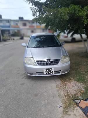 Old M.