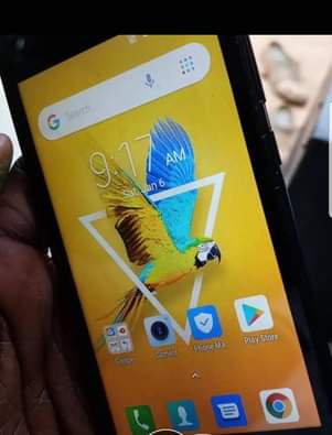 A picture of Tecno F1