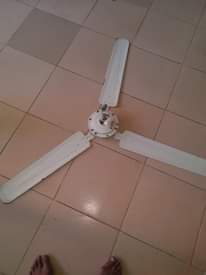 A picture of Dishi feni printer