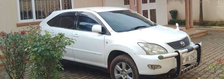 A picture of Harrier kawundo