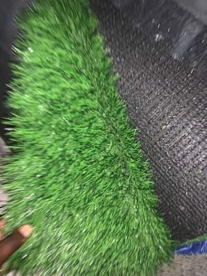 A picture of Grass carpets