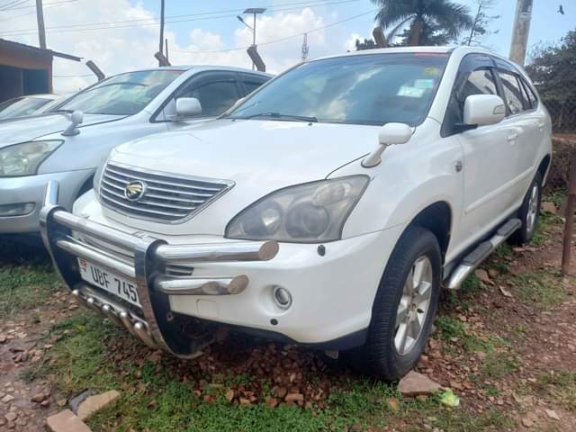 A picture of Harrier kawundo