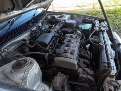 Kzn C.