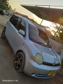 A picture of sienta