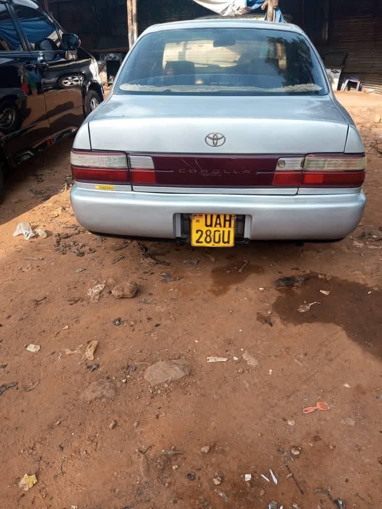 A picture of 1999 Toyota corolla ae