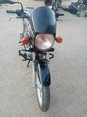 A picture of Boxer 159