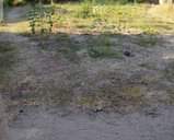 A picture of Kiwanja kinauzwa