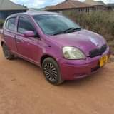 A picture of Vitz