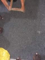 A picture of ZULIA LA NDANI