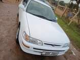 A picture of Kikumi