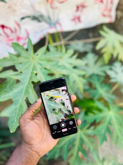 A picture of Google pixel 4PLAIN
