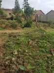 A picture of Plot in kagoma