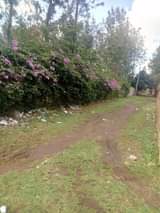 Muriithi M.