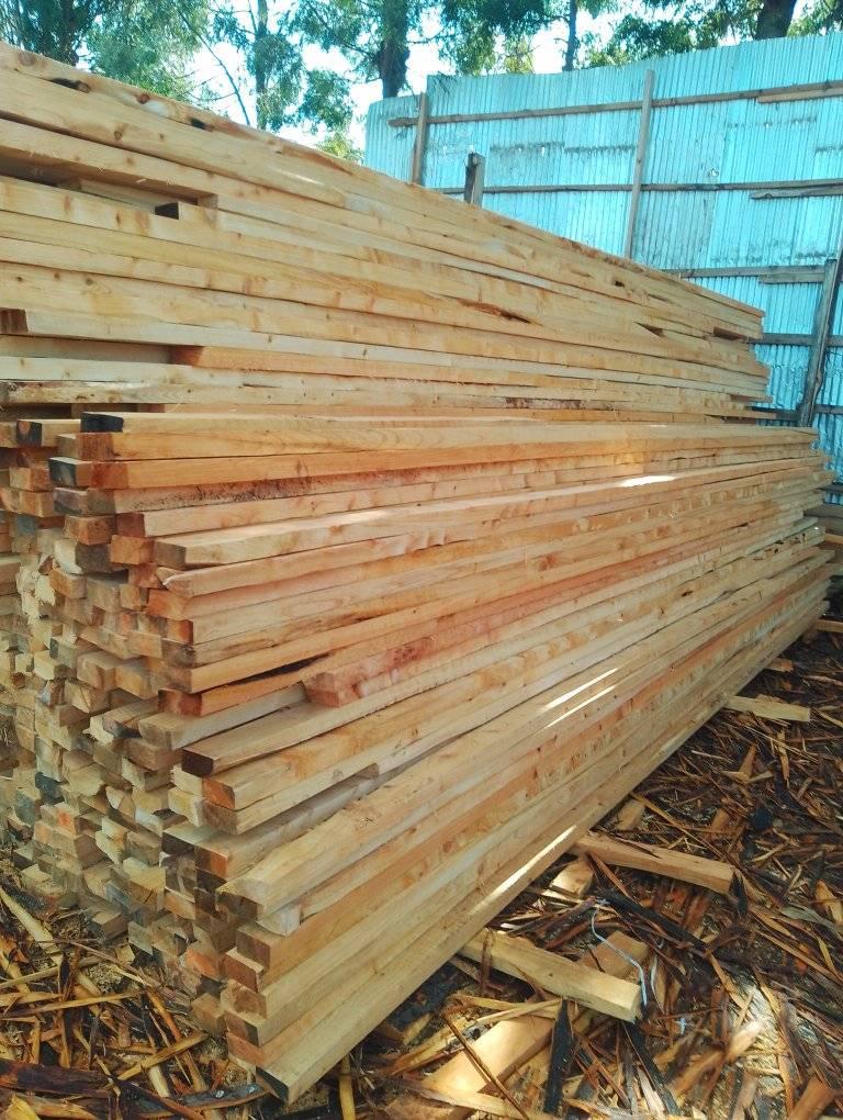 Timber M.